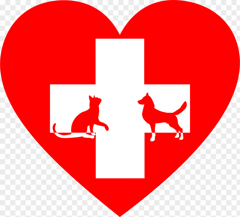 First Aid Kit Dog Cat Veterinarian Veterinary Medicine Clip Art PNG