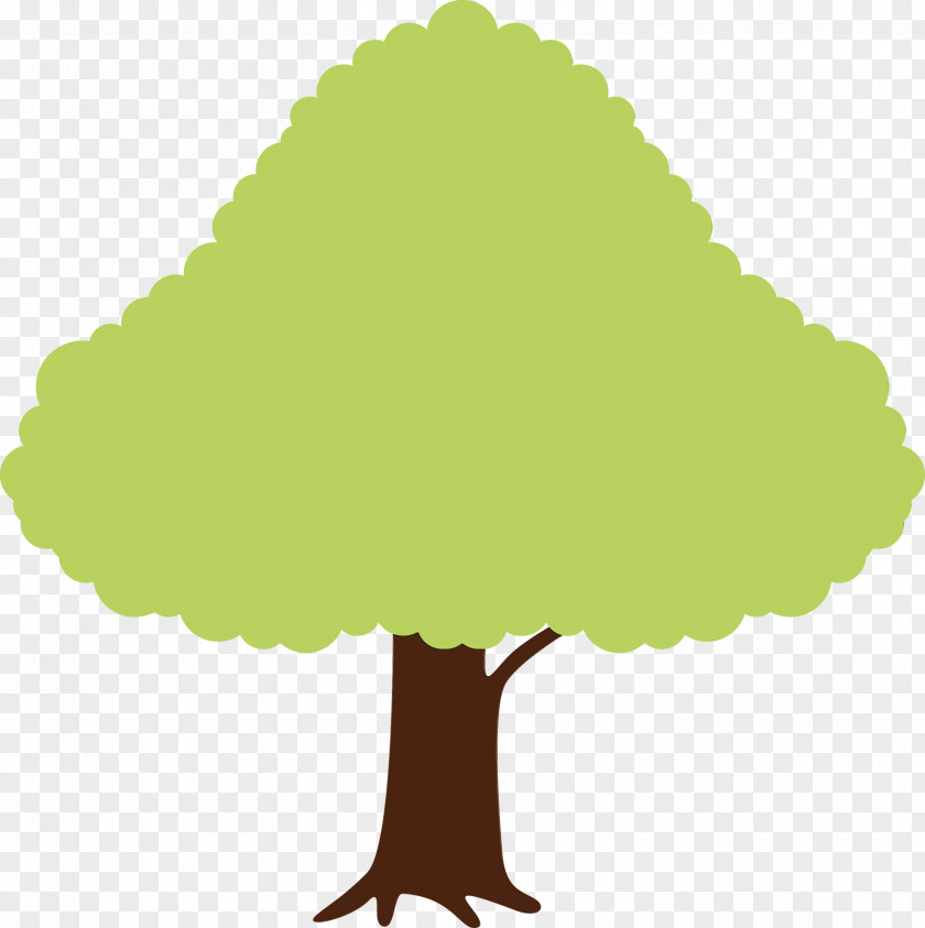 Leaf Plant Stem Tree Green Meter PNG