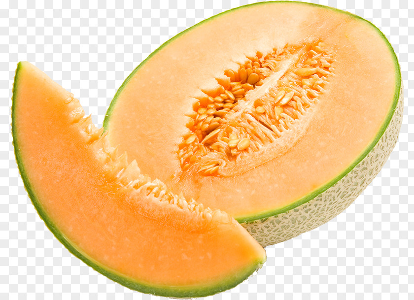 Melon Cantaloupe Honeydew Watermelon Canary PNG