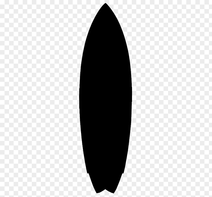 Surfing Surfboard Sport PNG