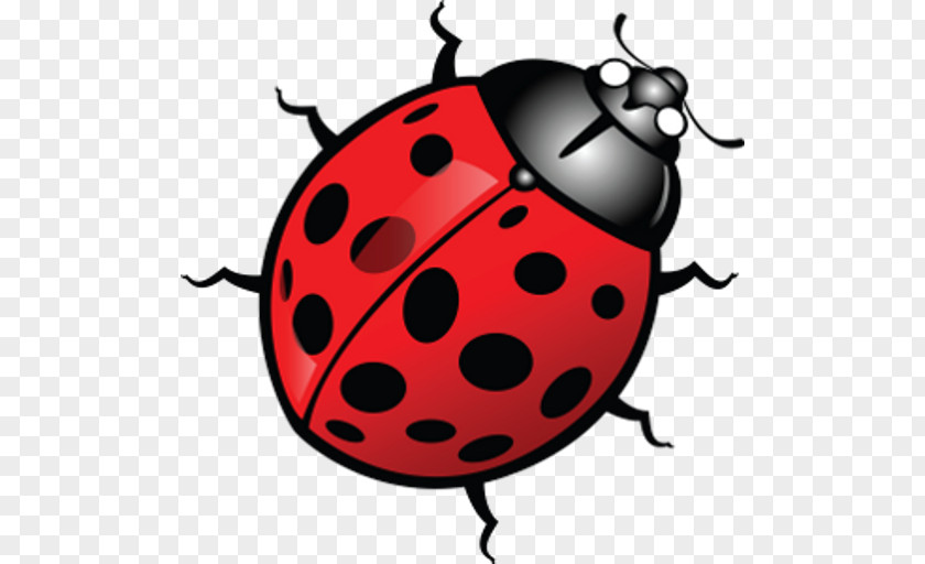 Beetle Ladybird Logo Clip Art PNG