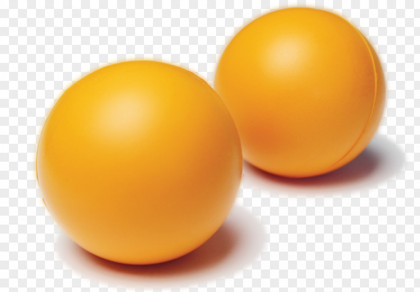 Exercise Balls Sphere PNG