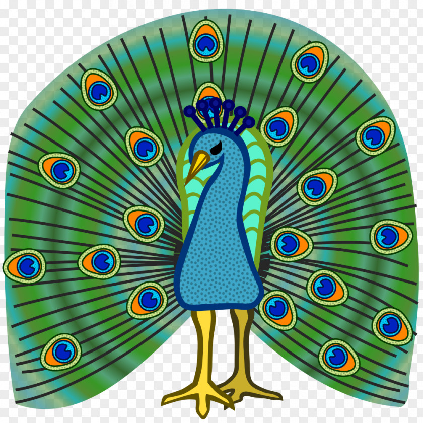 Exquisite Color Feather Bird Asiatic Peafowl Clip Art PNG