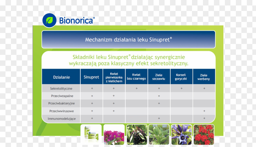 Andrographis Paniculata Computer Program Material Web Page PNG