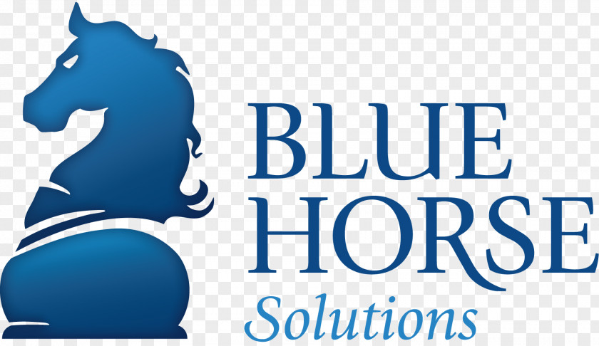 Blue Solution American Quarter Horse Association National Cutting Organization PNG