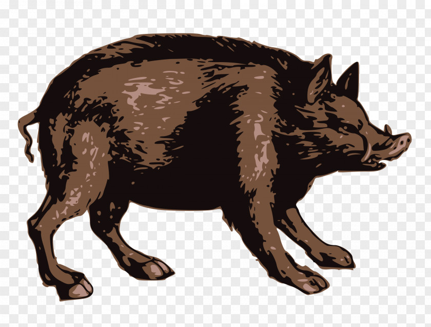 Boar Stamp Wild Image Clip Art Illustration PNG