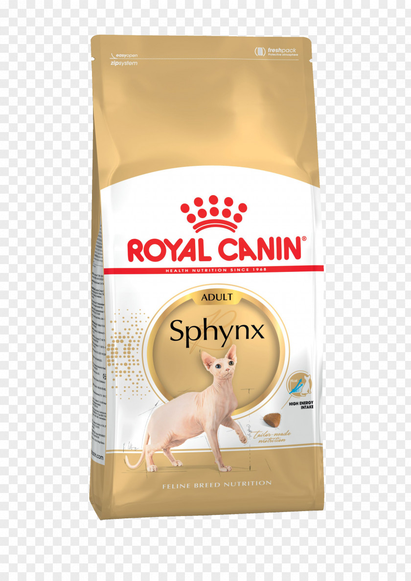 Dog Sphynx Cat Food Persian British Shorthair PNG