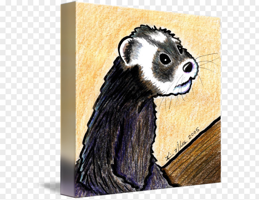 Ferret Mink Badger Whiskers Hippopotamus PNG