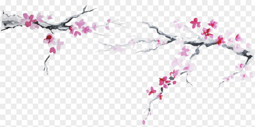 Plum Flower Japanese Cuisine Cherry Blossom Flag Of Japan PNG