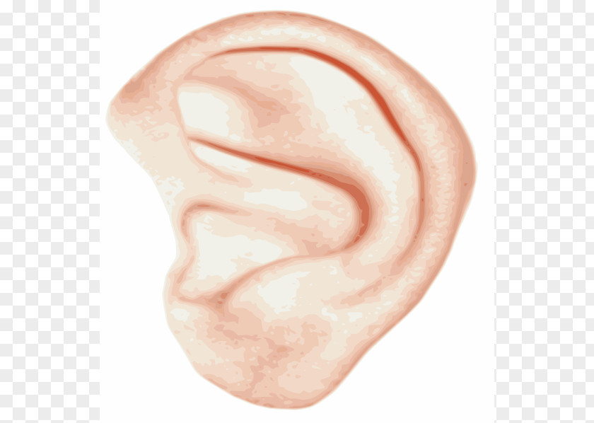 Big Ear Cliparts Clip Art PNG