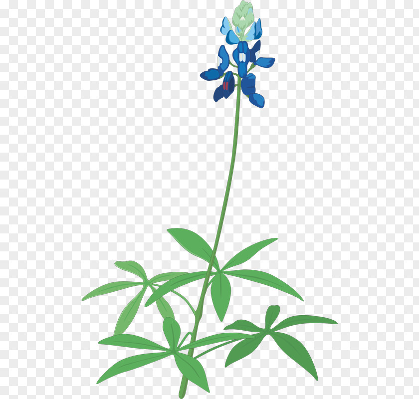 Bluebonnets Floral Design Texas Bluebonnet Clip Art PNG