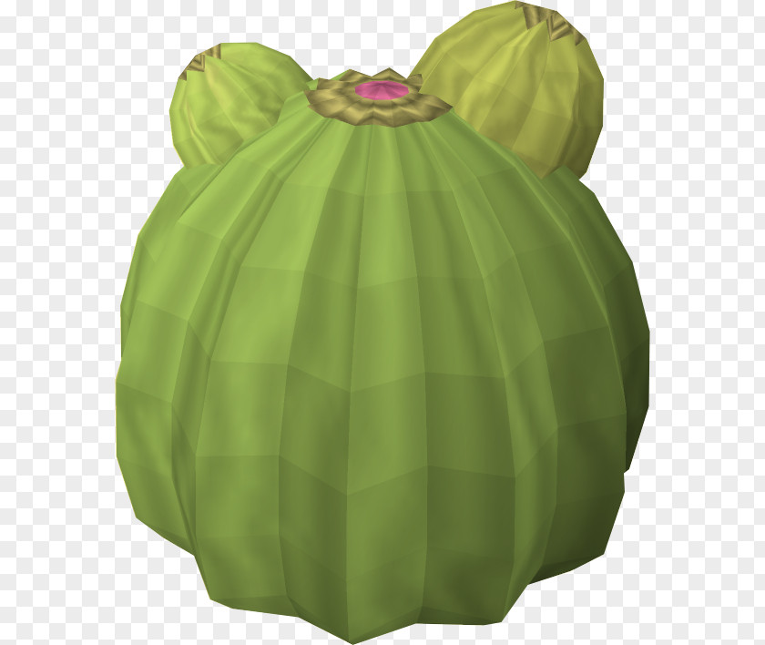 Cactaceae RuneScape Succulent Plant Desert PNG