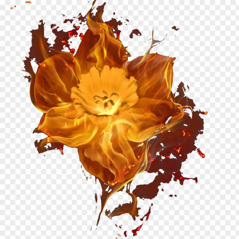 Flowers Burn Touching Eternity Fire Flower Combustion PNG