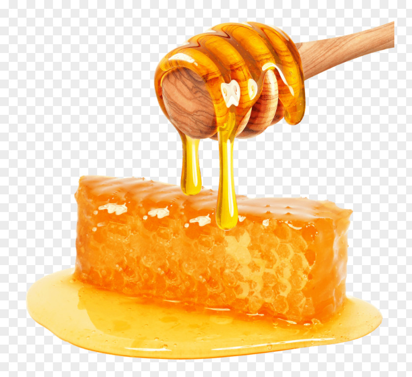 Honey Image Clip Art Transparency PNG