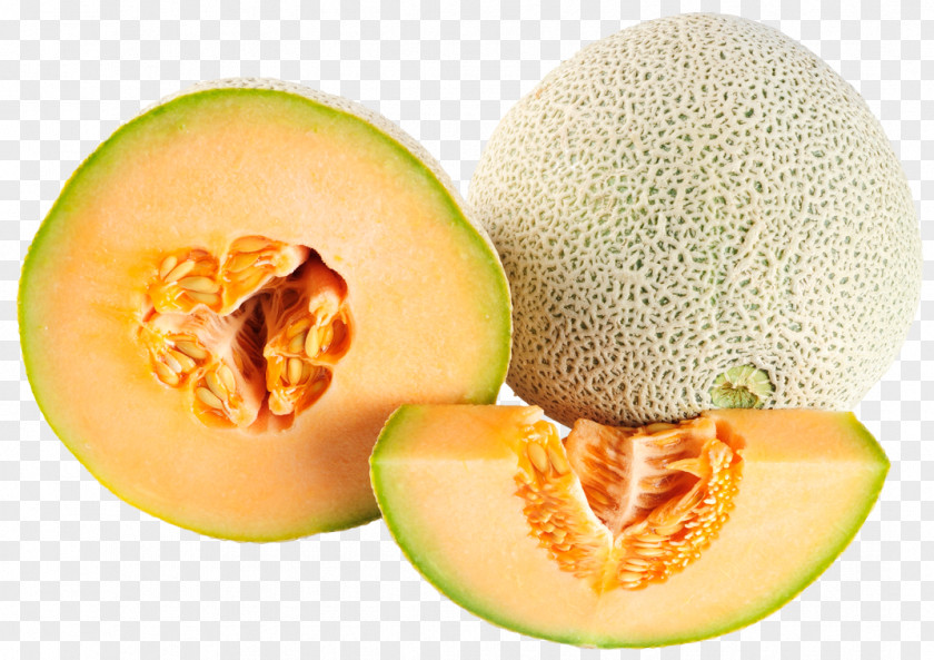 Melon Cantaloupe Fruit PNG