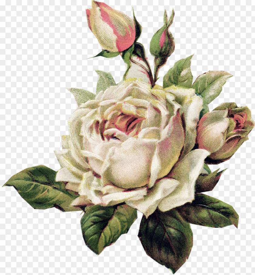 Watercolor Rose Sleeve Tattoo Flower Clip Art PNG