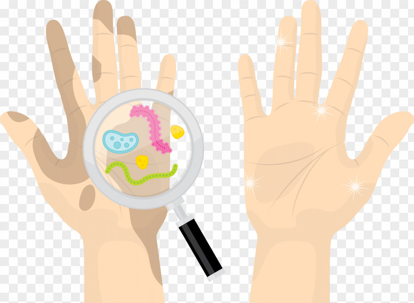 A Magnifying Glass To Find Bacteria In The Hands Hand Thumb Euclidean Vector PNG
