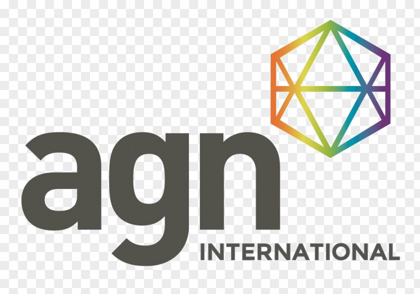 Business Accounting Certified Public Accountant Agn International Limited Audit PNG
