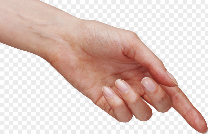 Hands , Hand Image Free Icon PNG