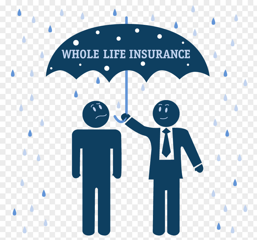 Insurance Whole Life Term Endowment Policy PNG