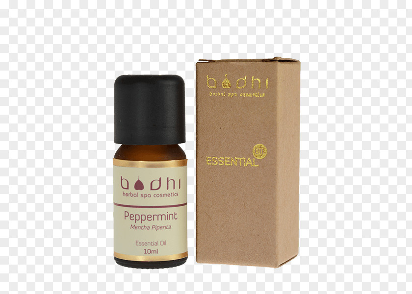 Oil Peppermint Essential Rosemary Spice PNG
