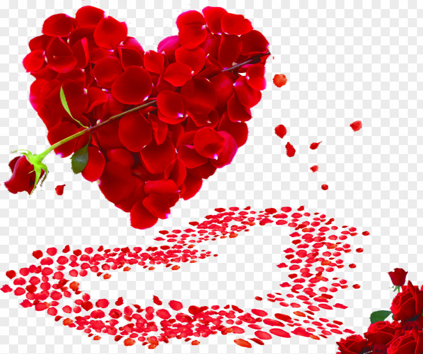 Rose Valentines Day Propose Heart Wallpaper PNG