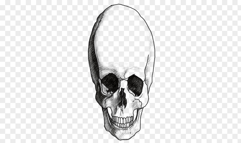 Skull Drawing Headphones /m/02csf White PNG