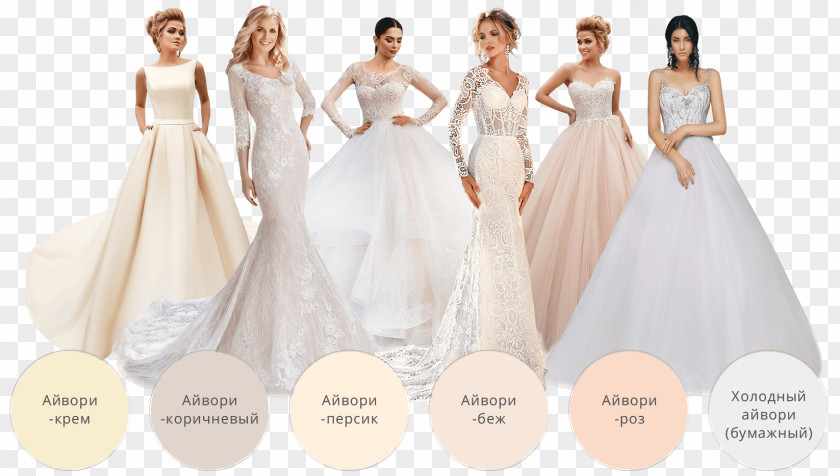 Bride Wedding Dress Bridesmaid PNG