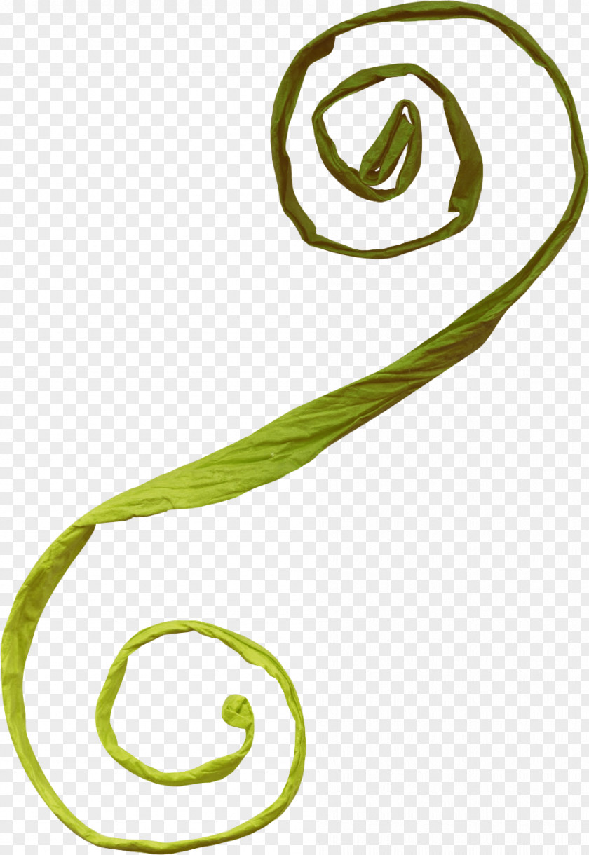 Dill File Clip Art Body Jewellery Line Plants PNG