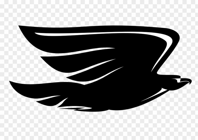 Eagle Black And White Clip Art Vector Graphics Image PNG