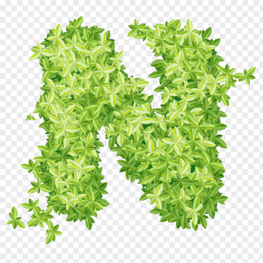 Green Leaf N Word Xd1 PNG