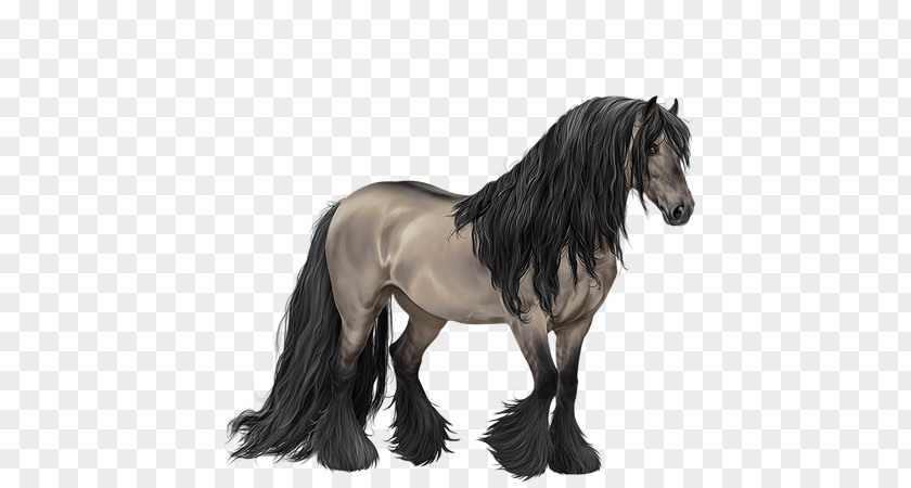 Gypsy Horse Mane Mustang Stallion Pony PNG