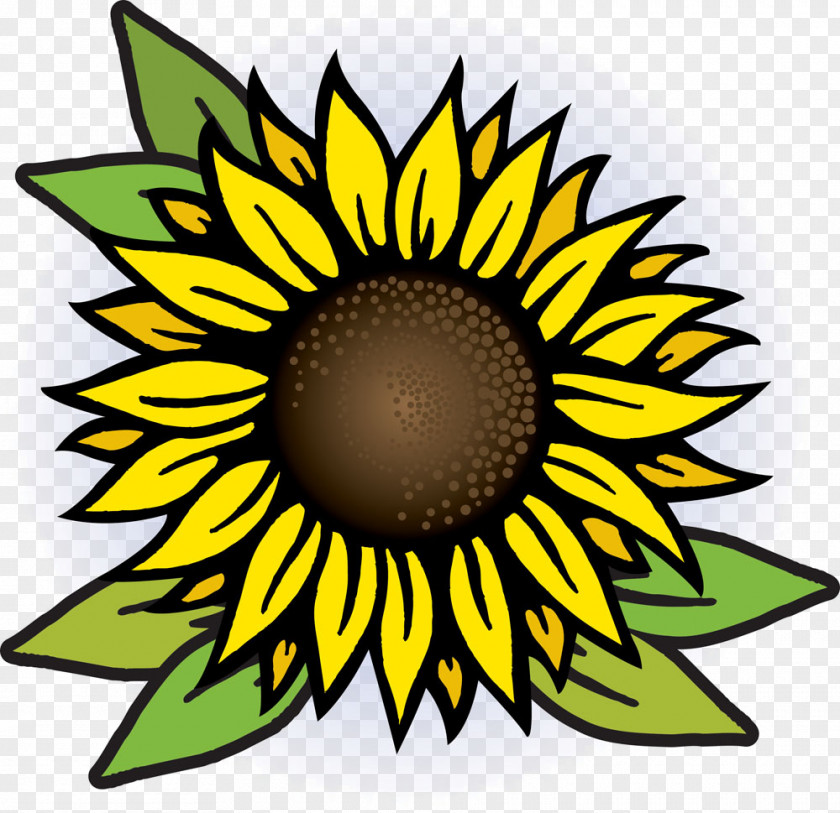 Hand-painted Sunflower Common Royalty-free Drawing PNG