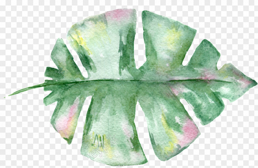 Painting Watercolor: Flowers Watercolor Image Art PNG