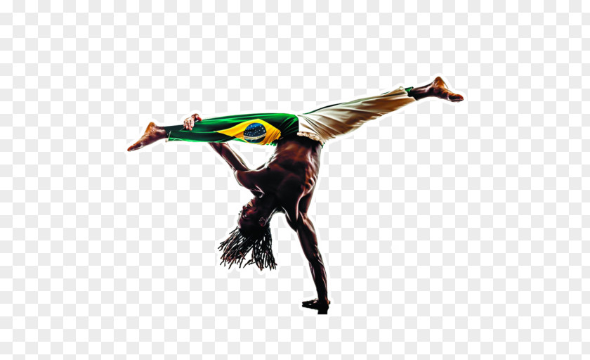 Capoeira Martial Arts Stock Photography Shutterstock Image PNG