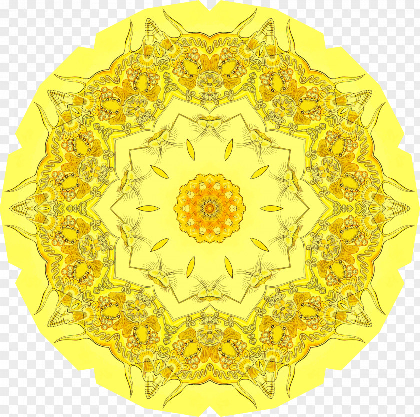 CC0-lisenssi Ornament Floral Design Common Sunflower PNG