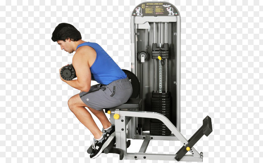 Exercise Machine Equipment Human Back Crunch PNG