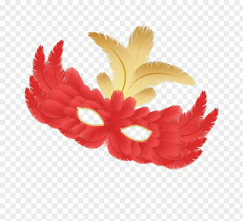 Feather Goggles Mask Masquerade Ball PNG