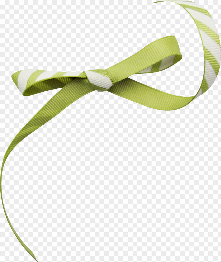 Green Pattern Bow Ribbon Clip Art PNG