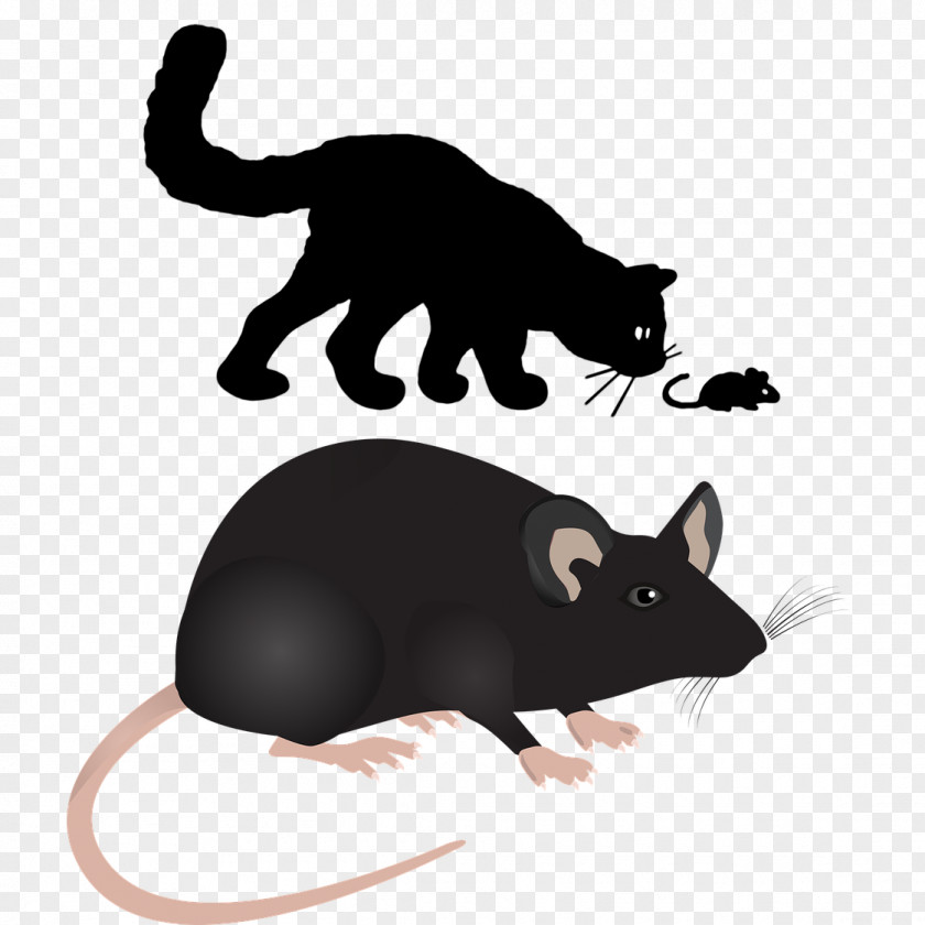 Tom And Jerry Together Labrador Retriever Computer Mouse Rodent Rat PNG