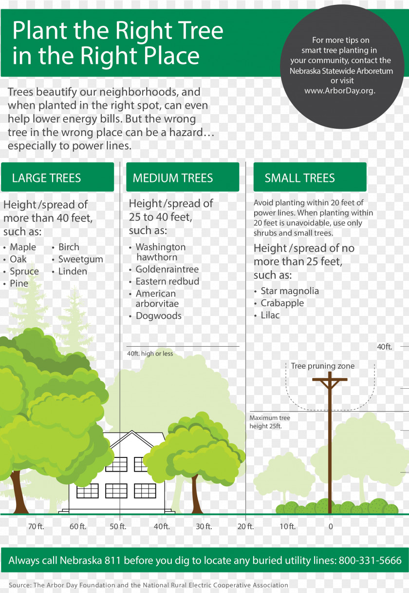 Tree Planting Guide Gardening Electricity PNG