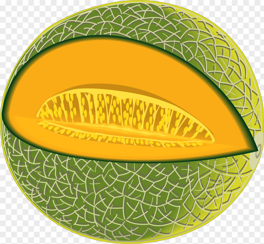 Vector Hand-drawn Melon Cantaloupe Honeydew Korean Clip Art PNG