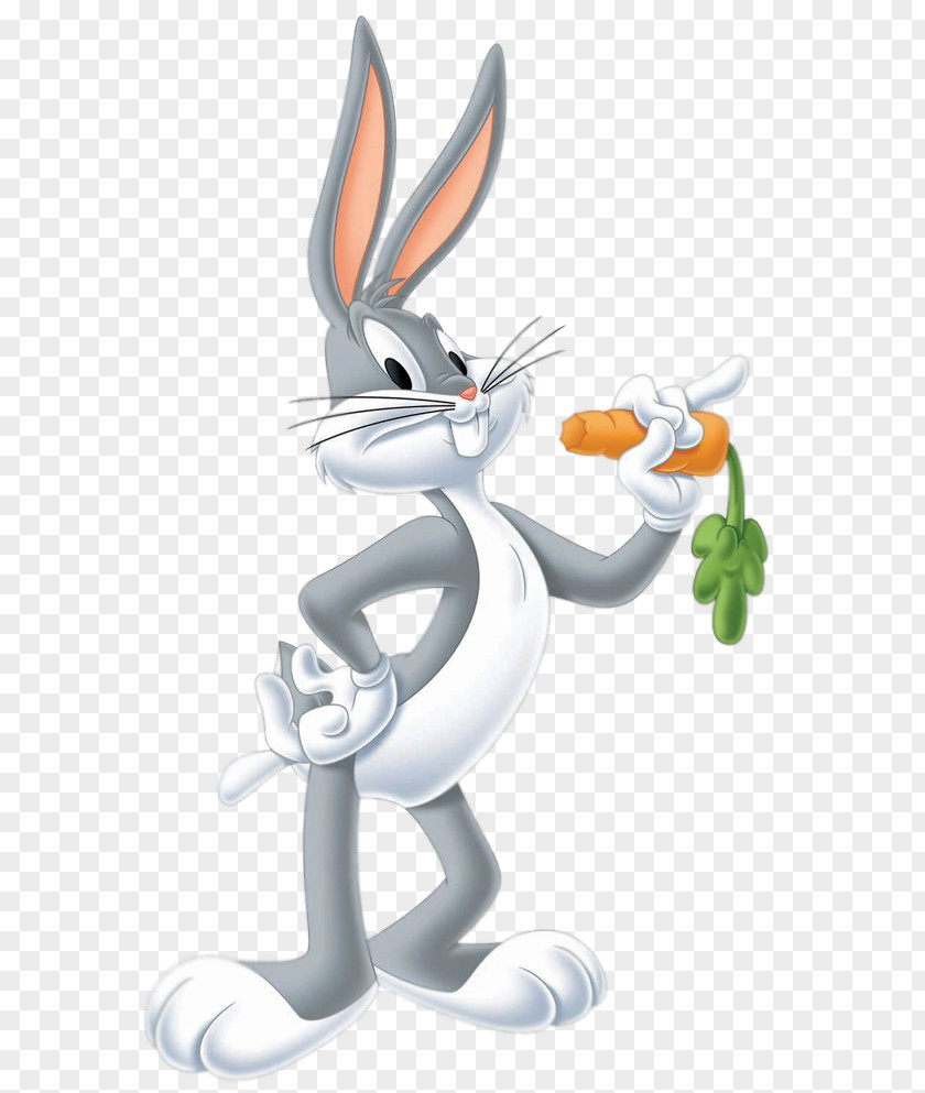 Bugs Bunny Daffy Duck Porky Pig Looney Tunes Wallpaper PNG