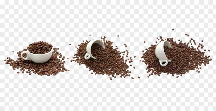 Coffee Cup Inside Beans Polyandry Polygyny Love Breakup PNG