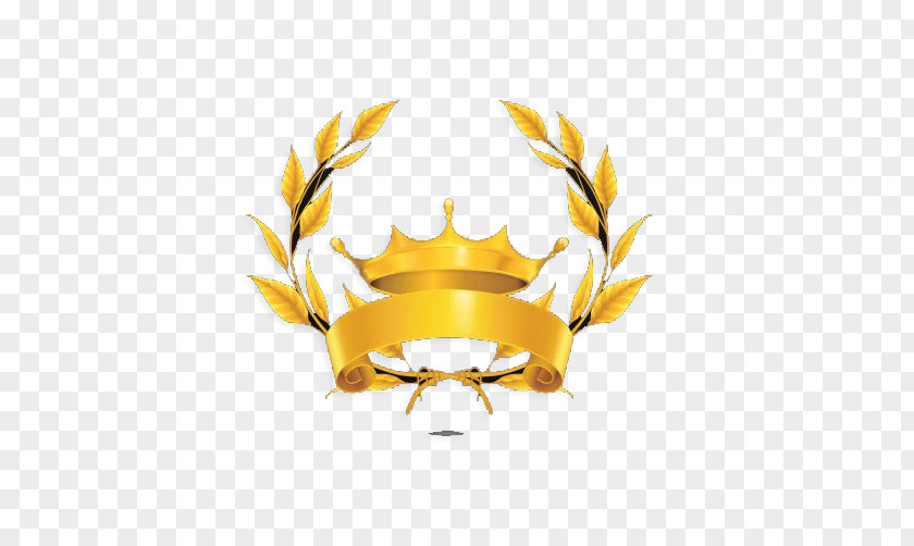 Crown Picture Painted Drawing Computer File PNG