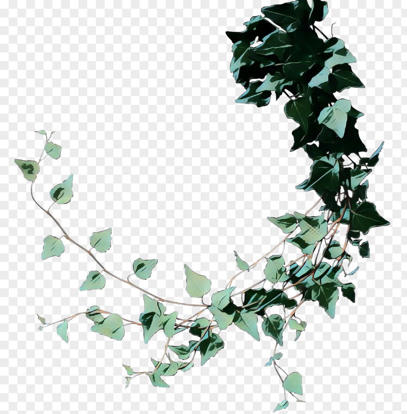 Ivy Family Tree Drawing Of PNG