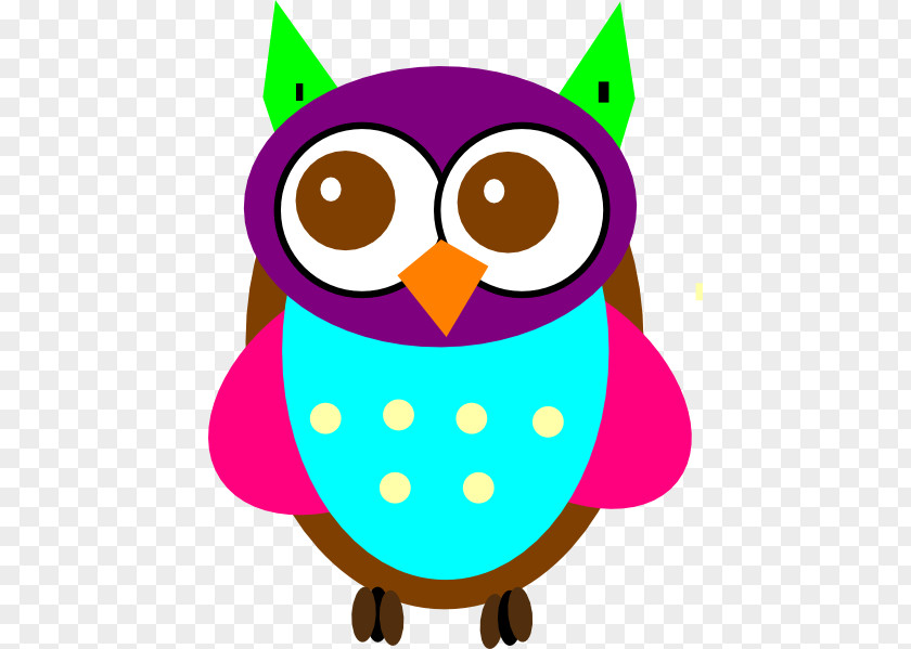 Owl Baby Owls Bird Diaper Clip Art PNG