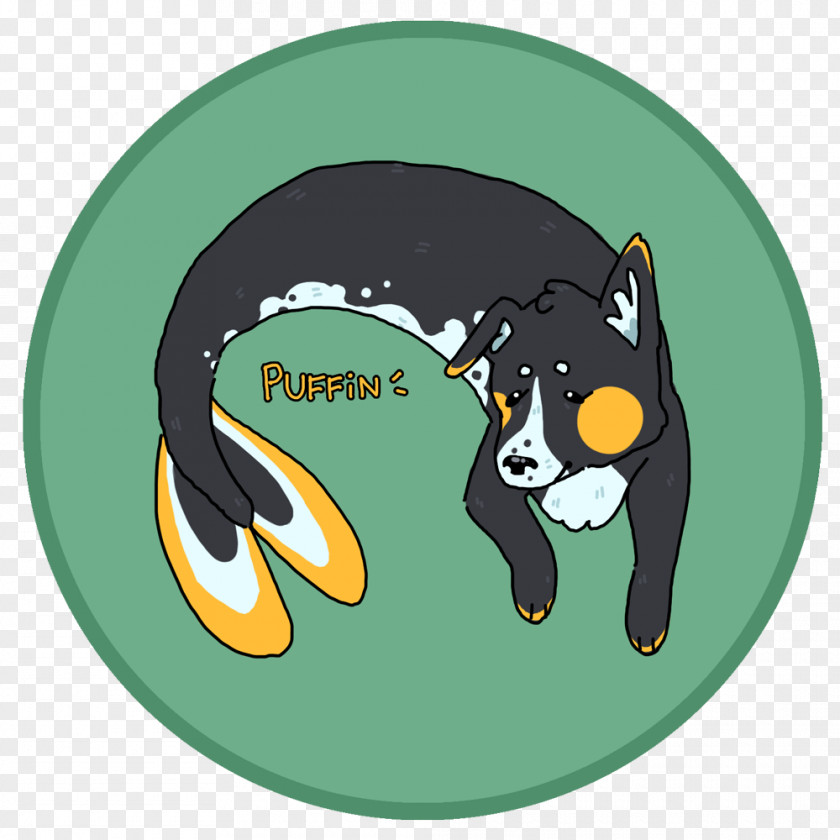 Border Collie Mix Canidae Dog Green Mammal PNG