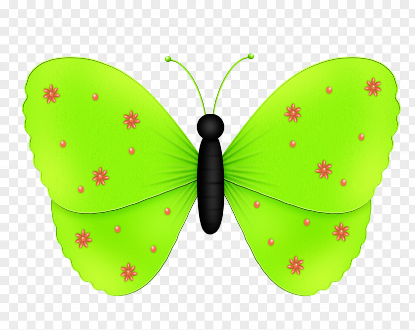 Butterfly Drawing Pink Color PNG