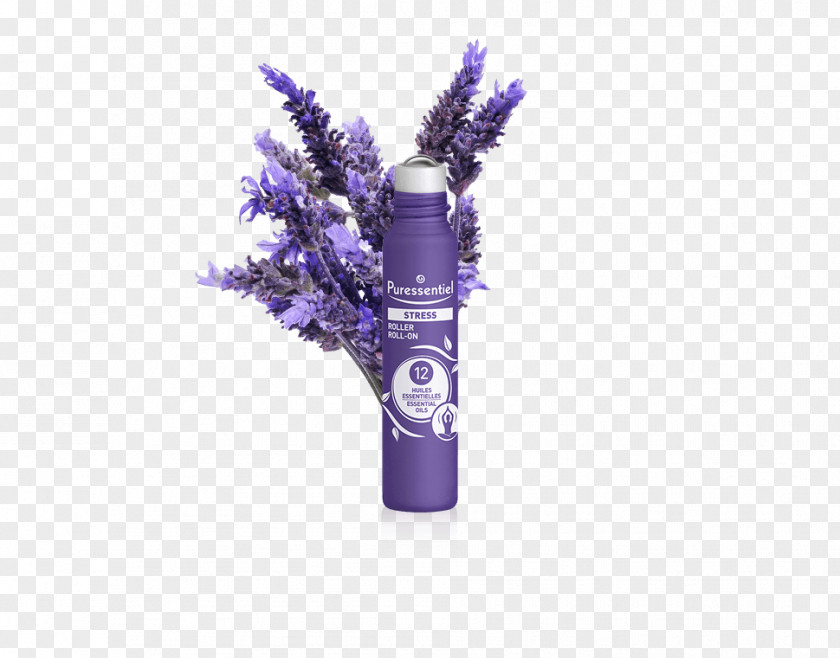 Flower English Lavender Oil French Plant PNG